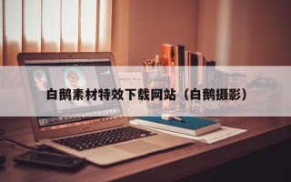 运城白鹅素材特效下载网站（白鹅摄影）